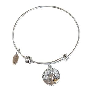 Sweet Serenity 925 Sterling Bracelet My Family Love Where Life Begins Tree
